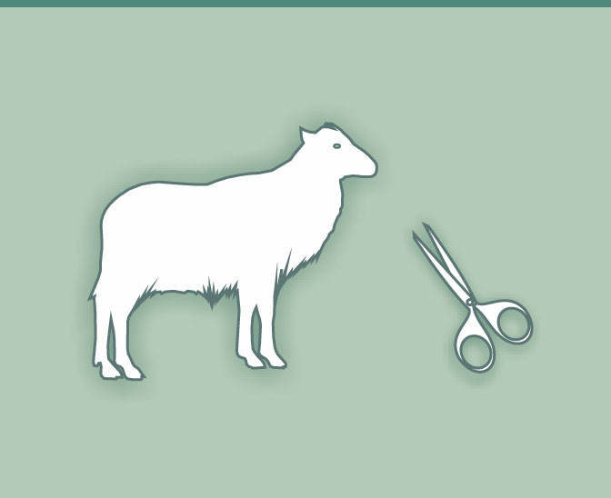 Bild Icon Schaf und Schere für Schafschur