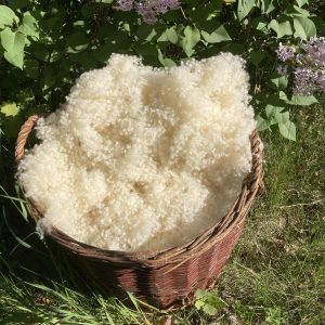 Wollkügelchen/Vliese je kg