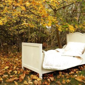 Bett-unterm-Baum-e1749927458303-300x300-1-circle-17327f9cf911cc7ead231d6616e1f6af-jxuf6lbt97a0 Bett-unterm-Baum-e1749927458303-300x300-1-circle-17327f9cf911cc7ead231d6616e1f6af-jxuf6lbt97a0